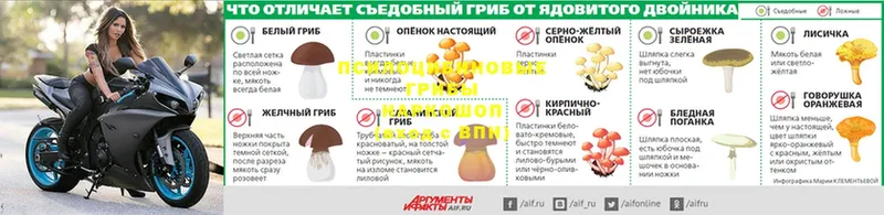 Галлюциногенные грибы MAGIC MUSHROOMS  гидра   Бахчисарай  наркотики 